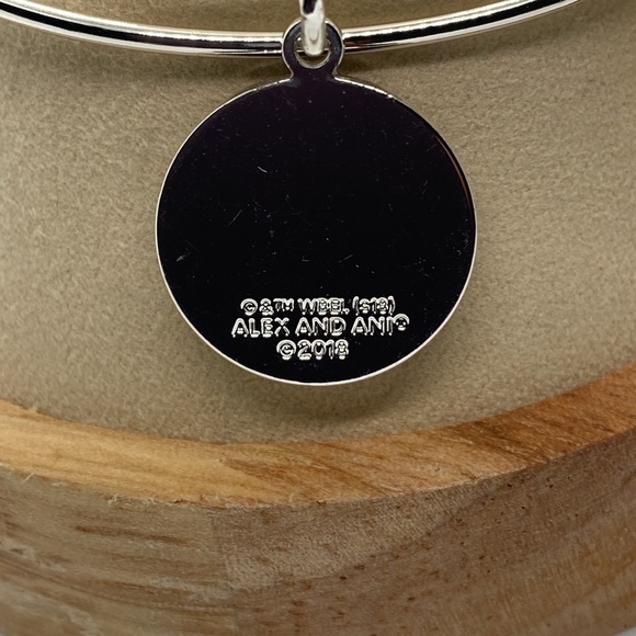 Alex and Ani Pick A Side Charm Bangle Bracelet/Shiny Silver/NWT - Picture 7 of 9